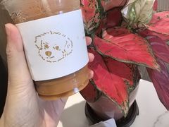 -Bean's Coffee 豆豆咖啡