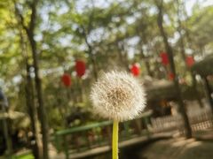 -草根堂农场