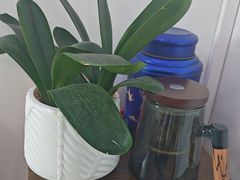 -张钰强中医正骨推拿连锁(华发商都店)