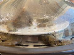 -港畔赶海蒸汽海鲜烧烤自助(仙螺岛店)