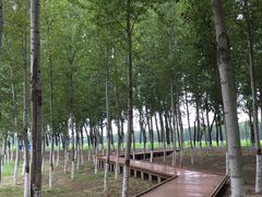 -东郊湿地公园