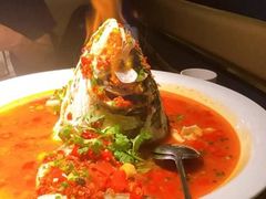 -坛宗剁椒鱼头(河西王府井店)