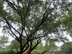 -动邦皮划艇·桨板·独木舟·团建户外运动俱乐部