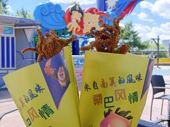 -沈阳方特欢乐世界