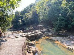 -广州白江湖森林公园