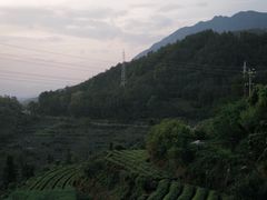 -杨家堂村