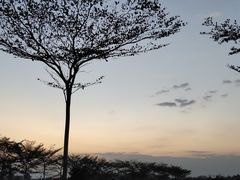 -亚龙湾国际玫瑰谷