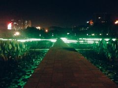 -厦门海湾公园游乐场