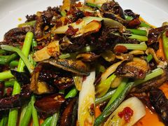 火爆鳝片-铁公鸡·四川料理(天环广场店)