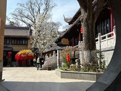 -灵谷景区