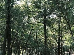 -塔子山公园