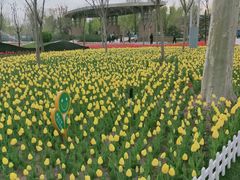 -廊坊文化艺术中心