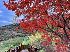 -博山九龙峪风景区
