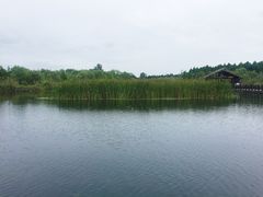 -溱湖国家湿地公园