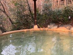 -天目湖涵田度假村