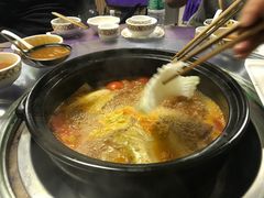 -乳仔牛牦牛汤锅 烤羊排(松潘古城店)
