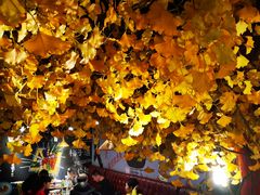 -串天下串串香(宽窄巷子店)