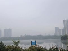 -飞来湖湿地公园