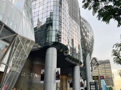 -爱雍·乌节