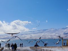 -青海湖国家重点风景名胜区