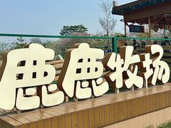 -盈香心动乐园