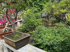 -东关清真大寺