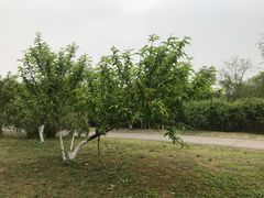 -白鹭湾湿地公园