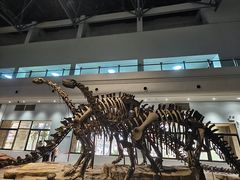-自贡恐龙博物馆