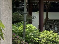 -杭州黄龙洞