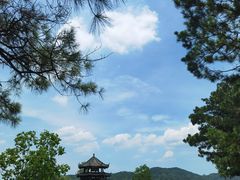 -东湖落雁景区