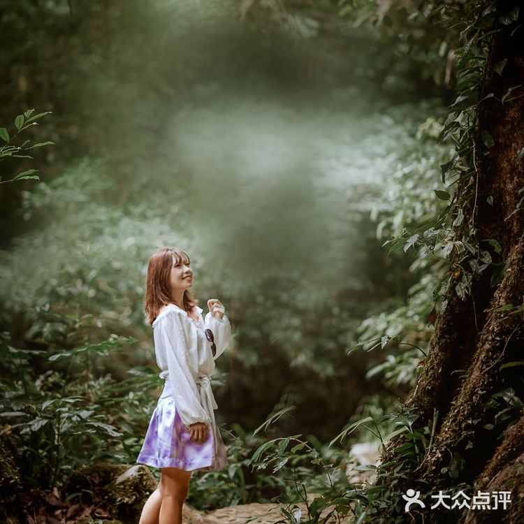 版纳亲子游Ⅰ热带雨林原来可以这么好玩！！