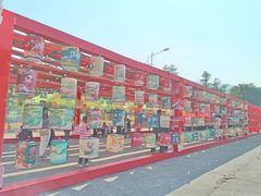 -风云岭森林公园