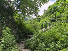-抱龙峪