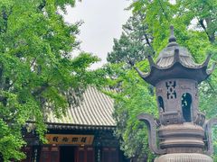 -洛阳白马寺