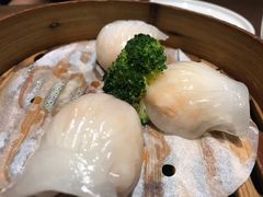 虾饺-香港表哥茶餐厅(银泰百货店)