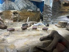 -香港海洋公园
