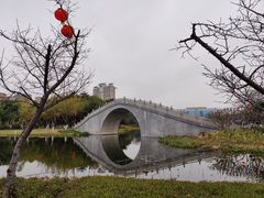-映月湖公园