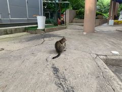 -上海静安昆仑大酒店