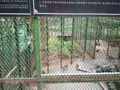 -藏龙百瀑风景区