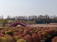 -嘉北郊野公园
