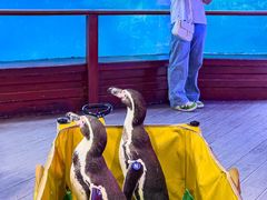 -太平洋海底世界