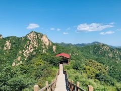 -大岭沟猕猴桃谷风景区