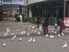 -中粮·祥云小镇