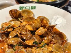 -新白鹿餐厅(百联中环店)