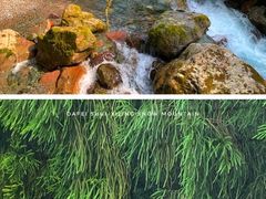 -西岭雪山大飞水景区