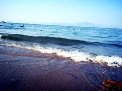 -演武大桥观景平台