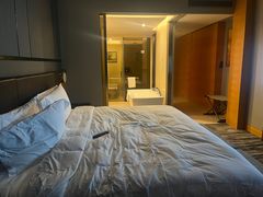 -上海虹桥祥源希尔顿酒店