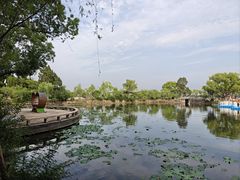 -无锡蠡湖国家湿地公园-蠡园