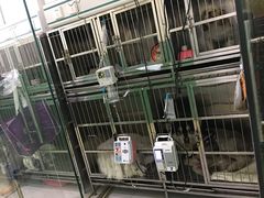 -半岛宠物医院24小时(科华中路店)