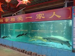 -年辉渔村·非遗传承餐厅(新丰江店)
